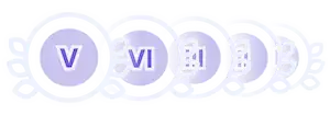 Loyalty Program Ranks
